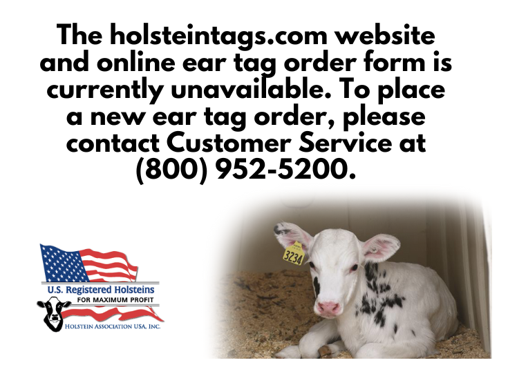 The holsteintags.com website is currently down, Please call (800) 925-5200 to place tag orders